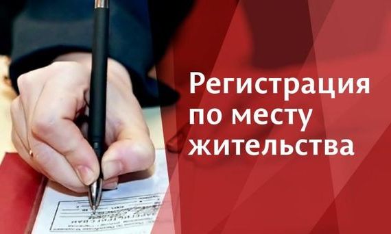 прописка в Дубне